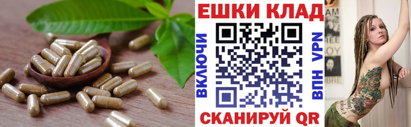 Экстази диски  Купить где  Завитинск 