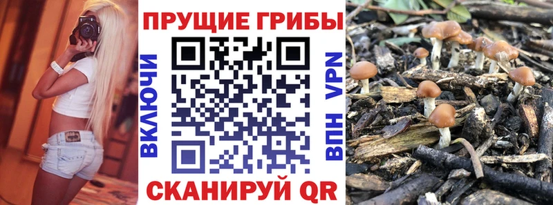 Галлюциногенные грибы Magic Shrooms  Купить  Завитинск 